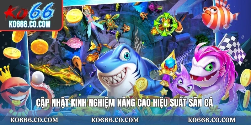 Cập nhật kinh nghiệm nâng cao hiệu suất săn cá