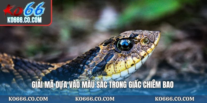 Giải mã dựa vào màu sắc trong giấc chiêm bao