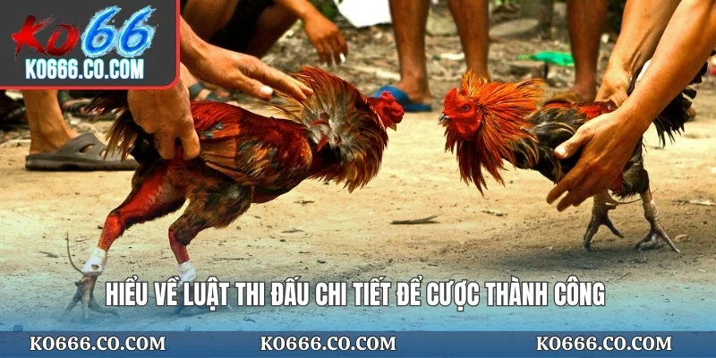 Hiểu về luật thi đấu chi tiết để cược thành công