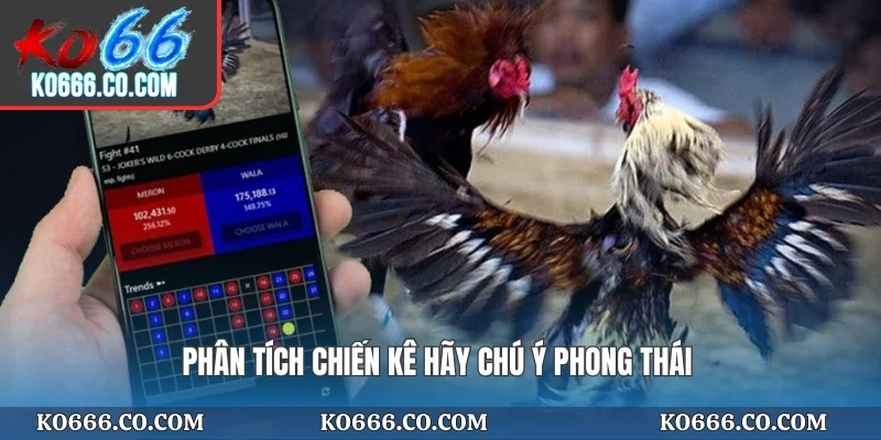 Phân tích chiến kê hãy chú ý phong thái