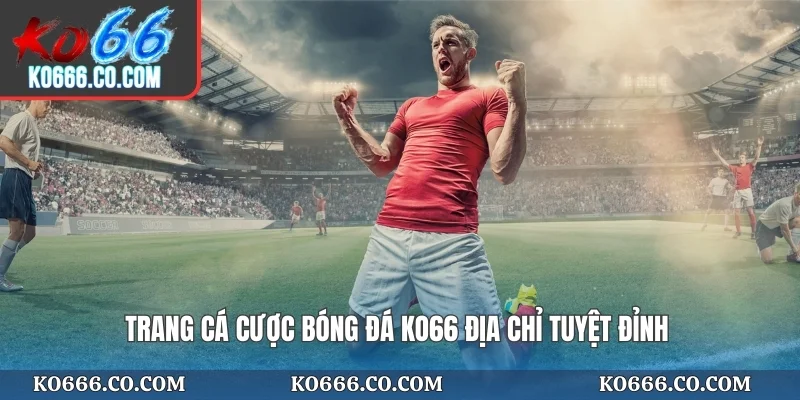 Trang cá cược bóng đá KO66 địa chỉ tuyệt đỉnh