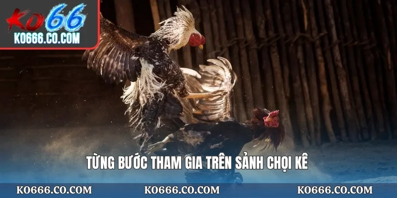 Từng bước tham gia trên sảnh chọi kê