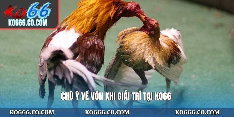 Chú ý về vốn khi giải trí tại KO66